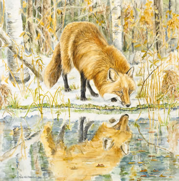 print fox reflection