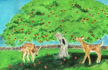 At one childrens book fawns apple tree