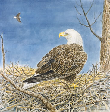 print eagle on a Nest