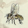 When I'm with You children's book bumble bee